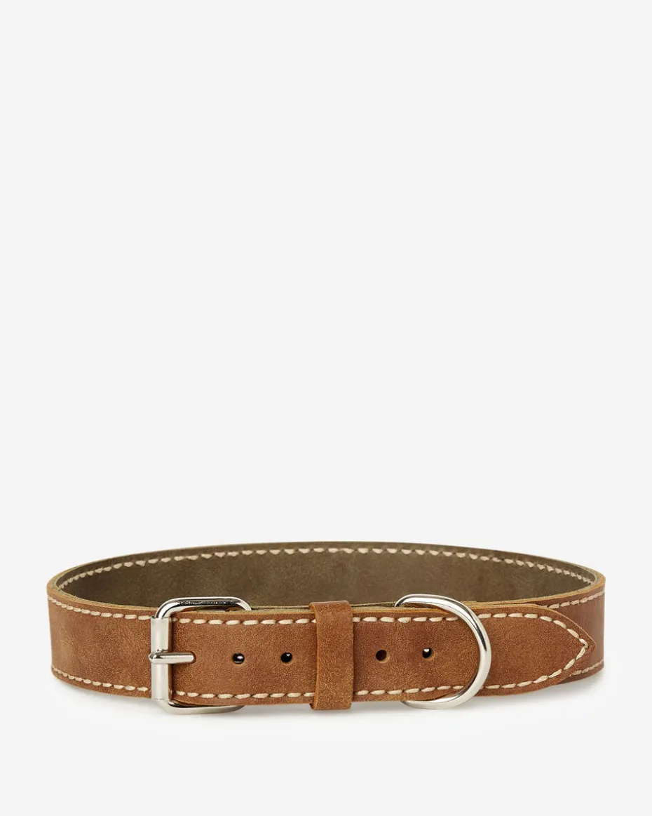 Extra Large Leather Dog Collar